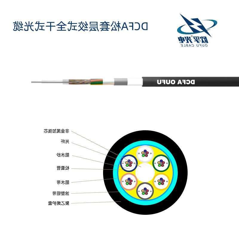 澳门新城区DCFA光缆