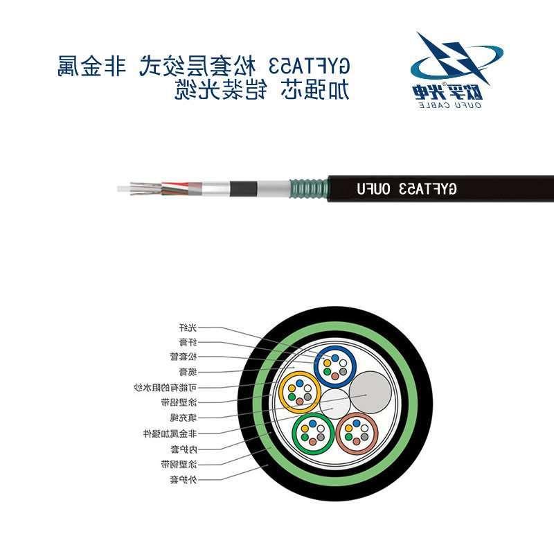 澳门新城区GYFTA53光缆