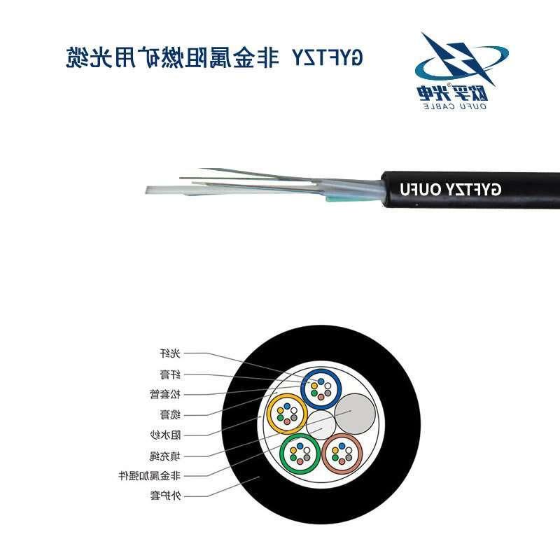 澳门新城区GYFTZY光缆