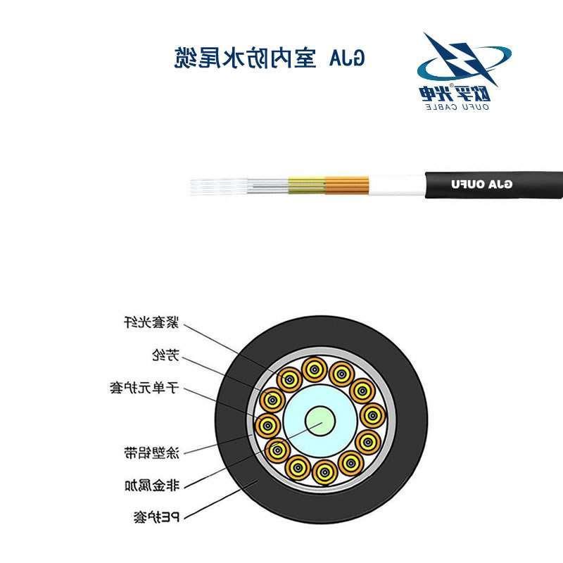 新北市GJA防水尾缆