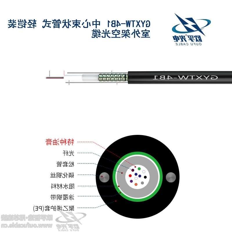 莱芜市GYXTW-4B1六芯单模室外光缆多少钱 有什么特点