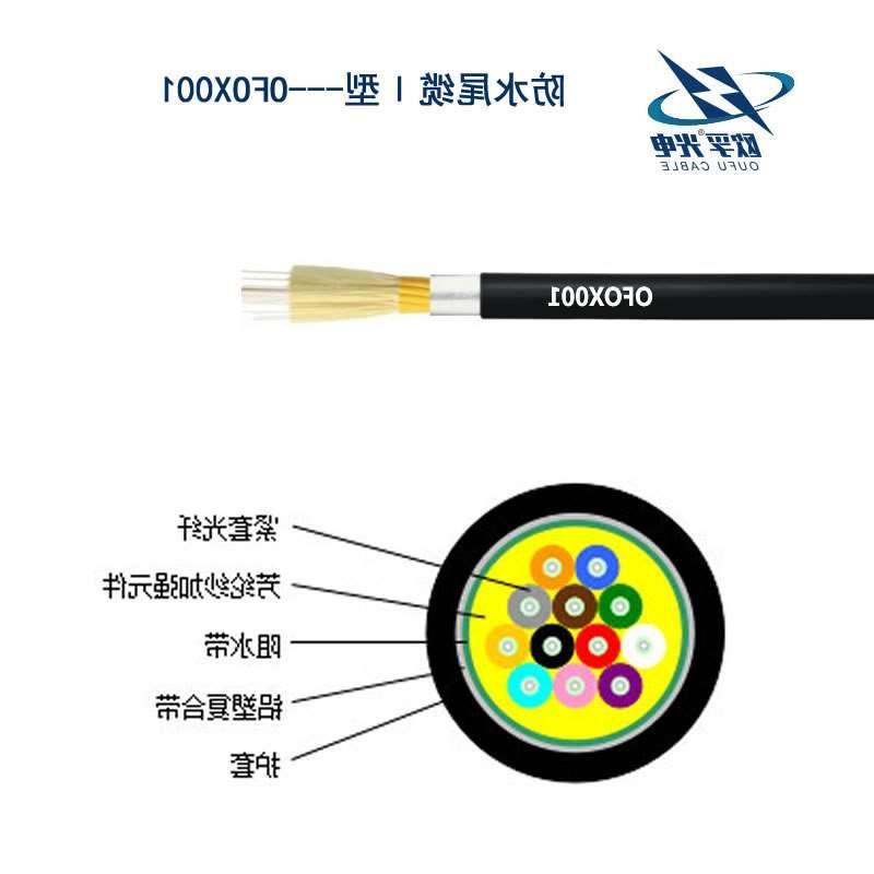 巴音郭楞蒙古自治州防水尾缆Ⅰ型