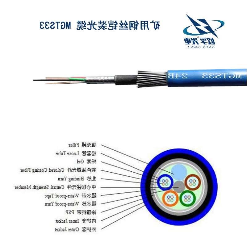 澳门新城区MGTS33光缆