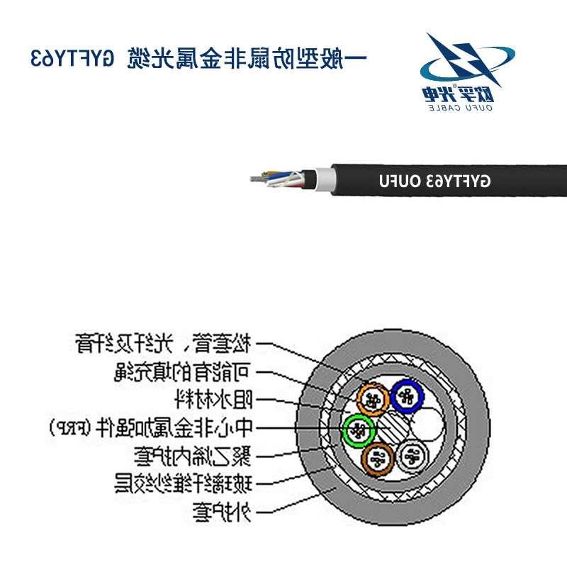 乌海市防鼠咬GYFTY63光缆