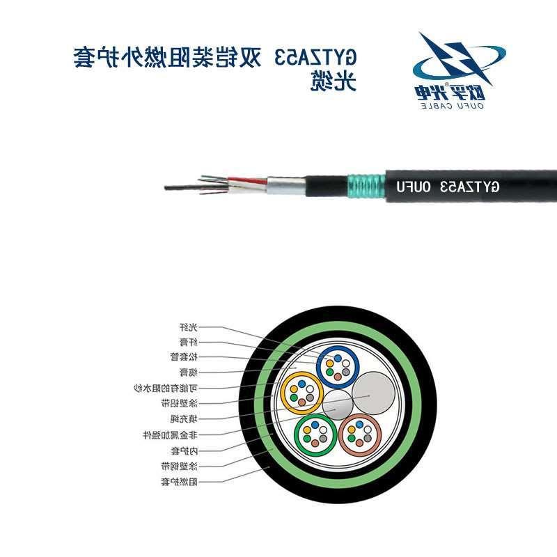 巴音郭楞蒙古自治州GYTZA53光缆