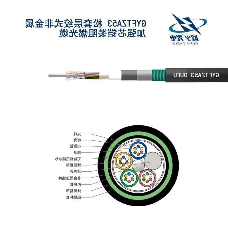 桃园县GYFTZA53光缆