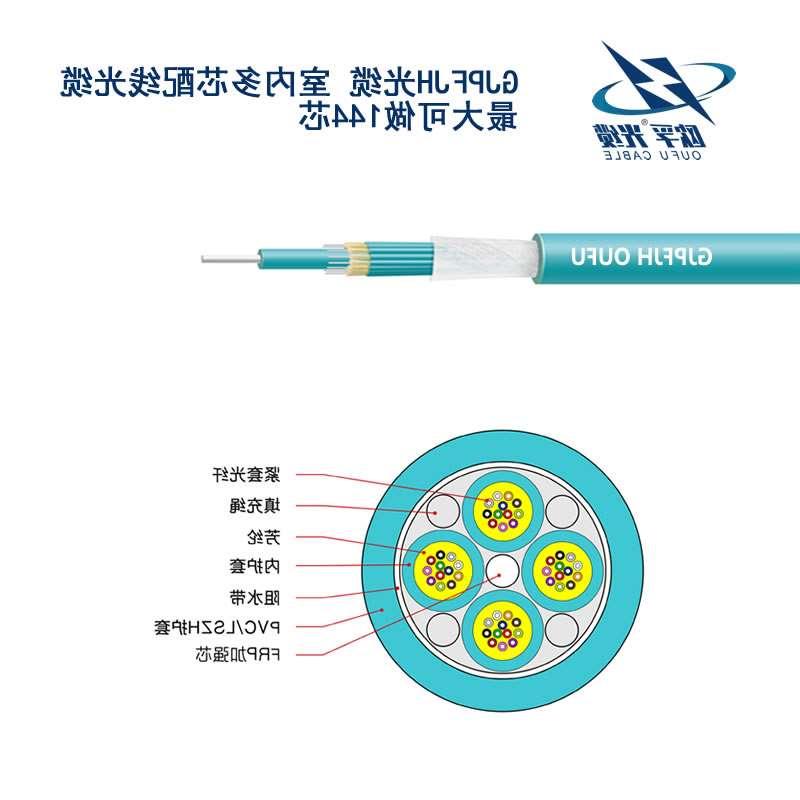 舟山群岛新区GJPFJH束状光缆