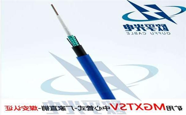 安徽欧孚MGXTSV-8B1 矿用单模阻燃光缆G652D纤芯煤安证书