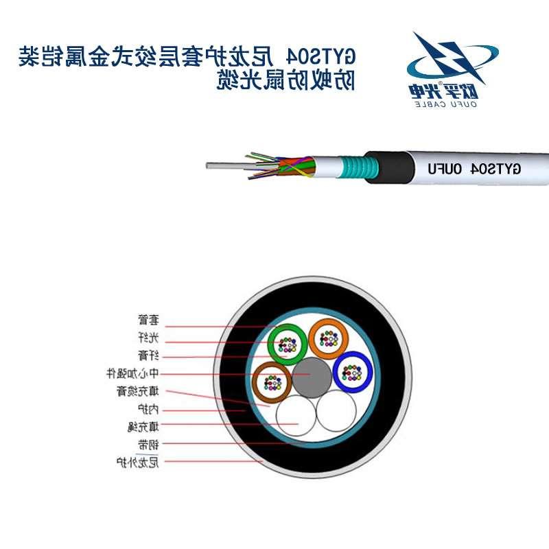 桃园县GYTS04光缆